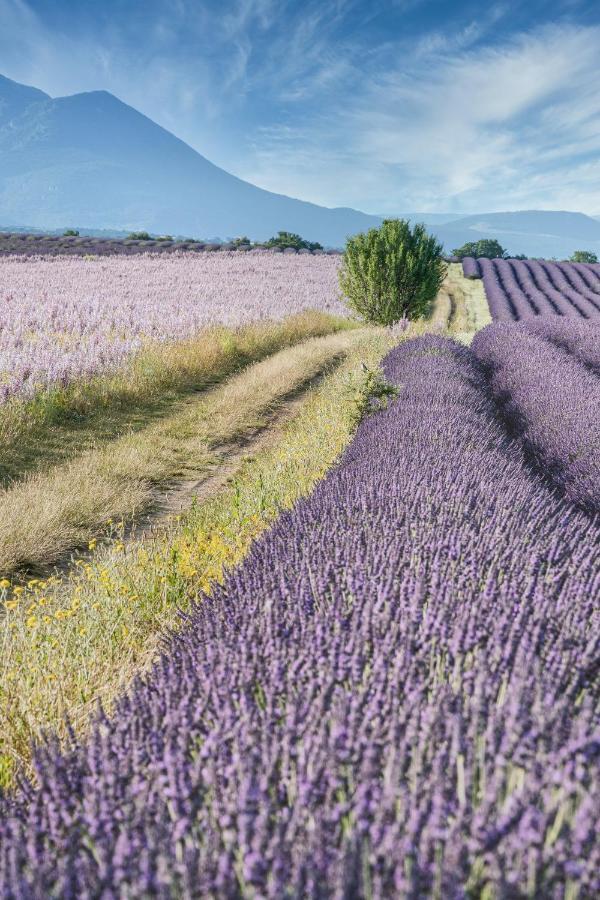 Gite Le Val Zen Valaurie - Drome Provencale エクステリア 写真